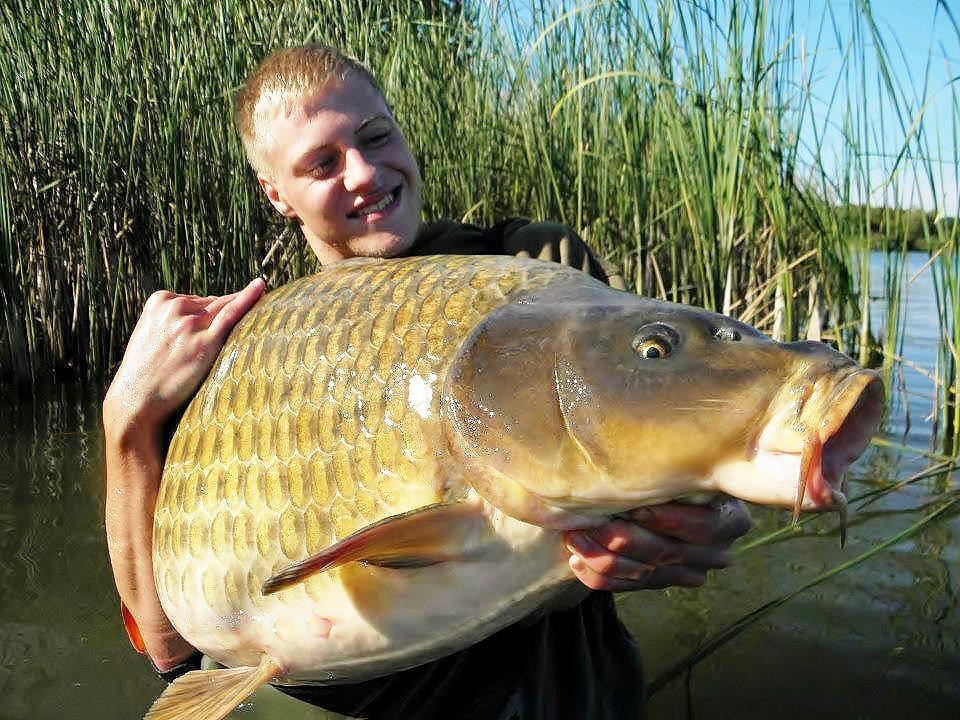 crapi mari - 61760290994704362800239514606n.jpg